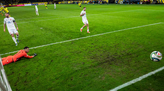 Goalkeeper Martin Dubravka of Slovakia lets in the 1-0 goal