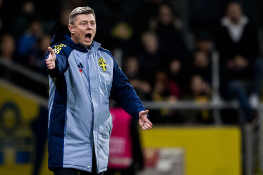 Head coach Jon Dahl Tomasson of Sweden