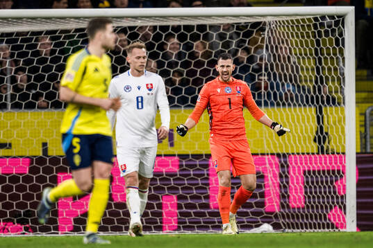 Goalkeeper Martin Dubravka of Slovakia