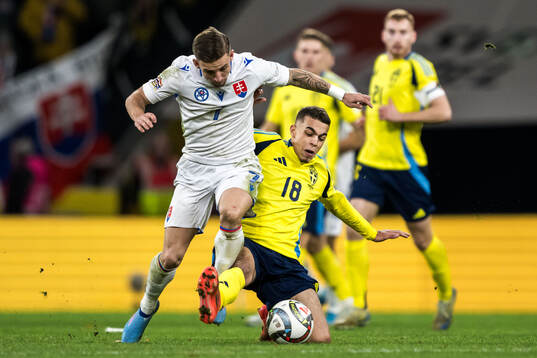 Tomas Suslov of Slovakia and Yasin Ayari of Sweden