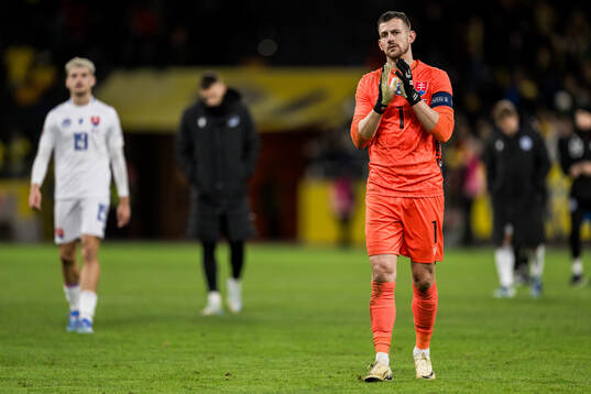 goalkeeper Martin Dubravka of Slovakia looks dejected