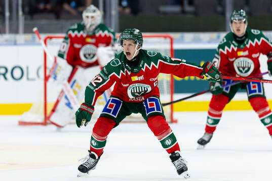 Frölundas Max Friberg