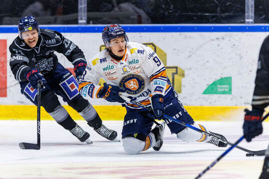 Bläddra bland fler bilder av Ishockey, SHL, Linköping - Växjö
