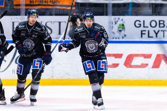 Linköpings Christoffer Ehn och Markus Ljungh jublar