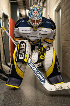HV71s målvakt Hugo Alnefelt