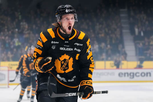 Bläddra bland fler bilder av Ishockey, SHL, Skellefteå - HV71