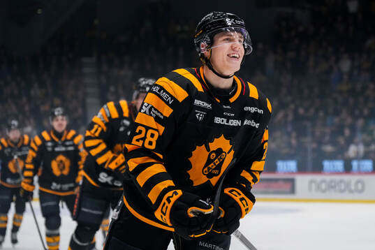 Skellefteås Michael Brandsegg-Nygård  jublar