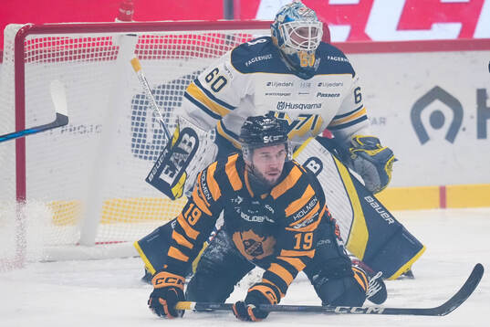 Skellefteås Martins Dzierkals och HV71s målvakt Hugo