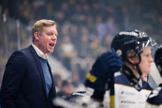 HV71s tränare Anton Blomqvist