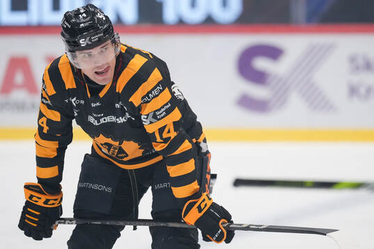 Skellefteås Andreas Johnson