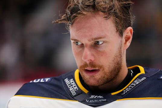HV71s målvakt Hugo Alnefelt