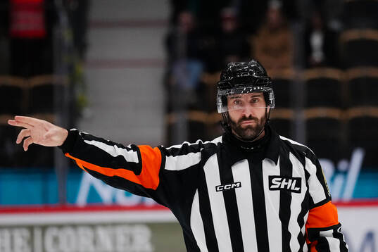 Domare Mikael Sjöqvist