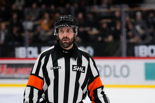 Domare Mikael Sjöqvist
