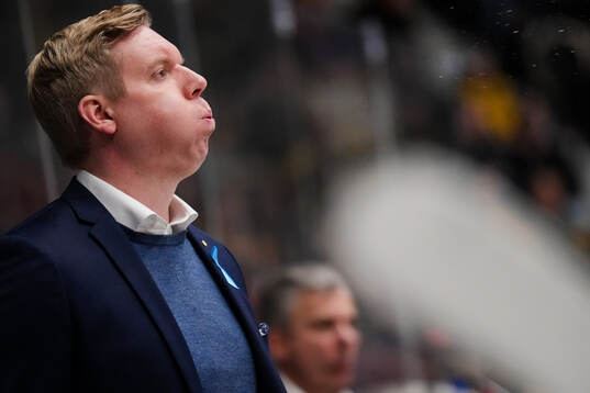 HV71s tränare Anton Blomqvist