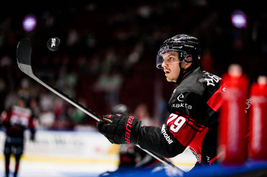 Malmö Redhawks Jakub Galvas