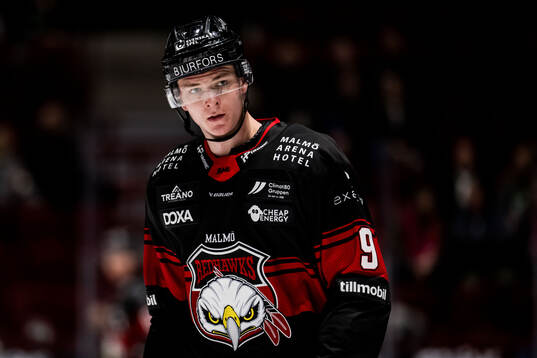 Malmö Redhawks Louis Jonerheim