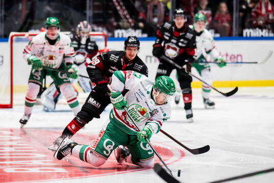 Rögles Leon Bristedt och Malmö Redhawks Jakub Galvas