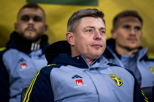 Head coach Jon Dahl Tomasson of Sweden