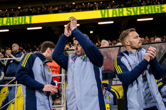 Head coach Jon Dahl Tomasson of Sweden