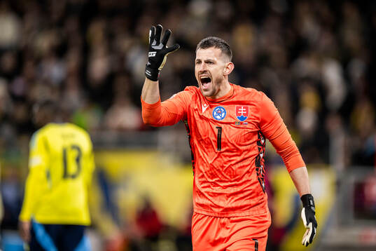 goalkeeper Martin Dubravka of Slovakia