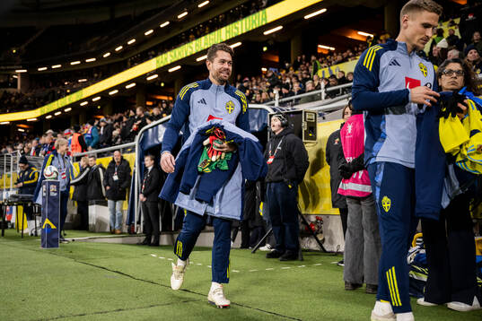 goalkeeper Kristoffer Nordfeldt of Sweden