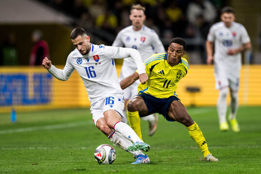 David Hancko of Slovakia and Niclas Eliasson of Sweden