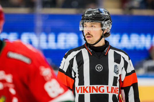 Domare Robin Jacobsson