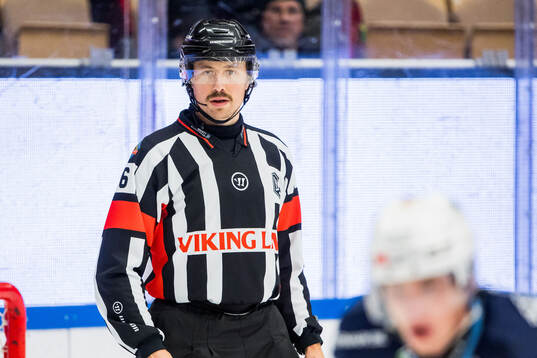 Domare Robin Jacobsson