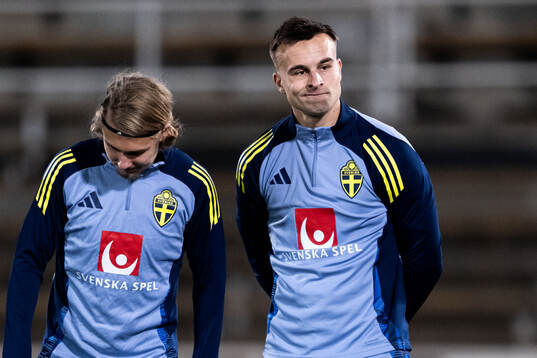 Henrik Castegren of the Swedish men's football national