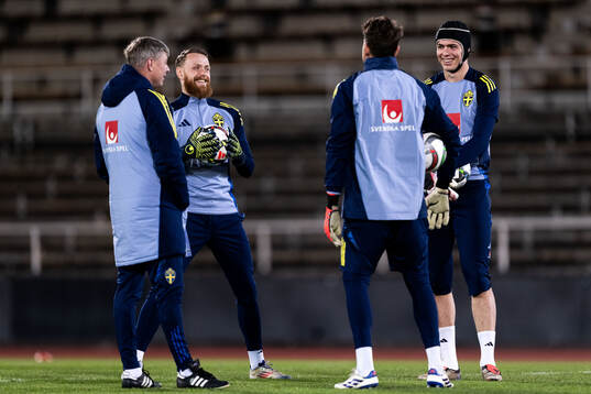 Head coach Jon Dahl Tomasson, goalkeeper Viktor Johansson,