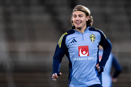 Sebastian Nanasi of the Swedish men's football national