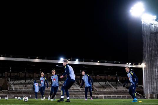 Daniel Svensson of the Swedish men's football national team