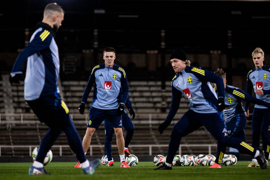 Emil Holm and Emil Forsberg of the Swedish men's football