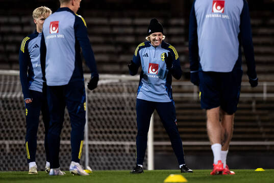 Emil Forsberg of the Swedish men's football national team