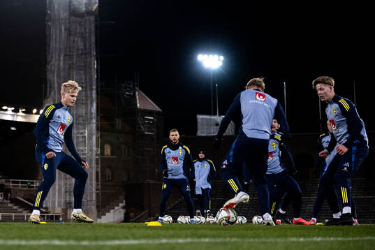 Lucas Bergvall of the Swedish men's football national team