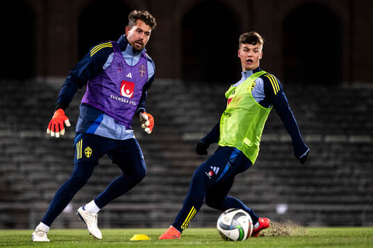 Goalkeeper Kristoffer Nordfeldt and Samuel Dahl of the