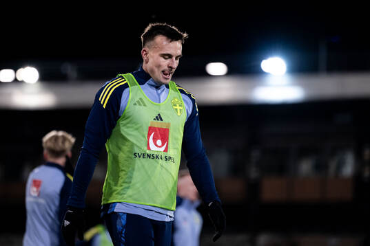 Henrik Castegren of the Swedish men's football national