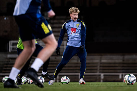 Daniel Svensson of the Swedish men's football national team