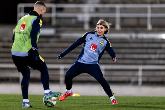 Sebastian Nanasi of the Swedish men's football national