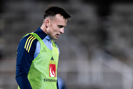 Henrik Castegren of the Swedish men's football national