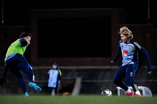 Gustaf Lagerbielke and Sebastian Nanasi of the Swedish
