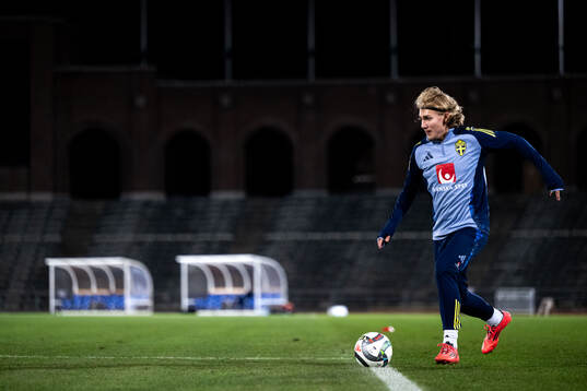 Sebastian Nanasi of the Swedish men's football national