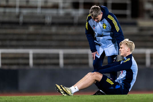 Head coach Jon Dahl Tomasson and Lucas Bergvall of the