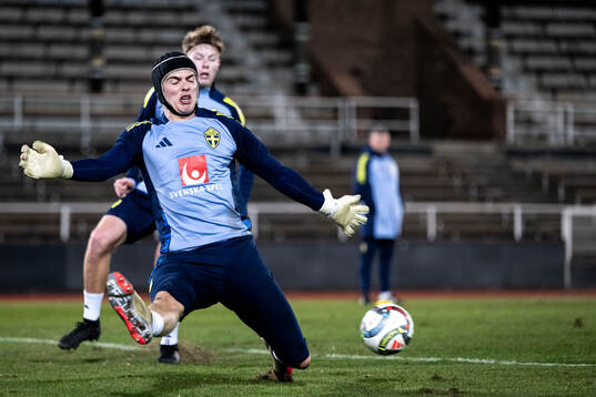 Goalkeeper Jacob Widell Zetterström of the Swedish men's