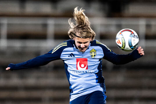 Sebastian Nanasi of the Swedish men's football national