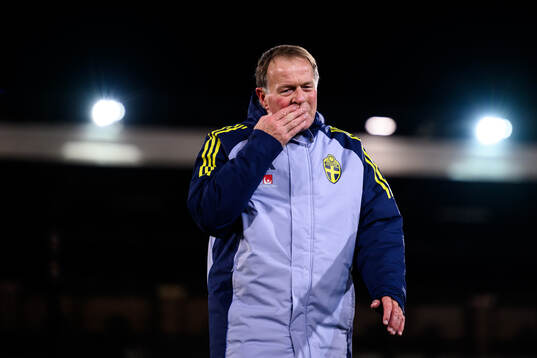 Assistant coach Remy Reijnierse of Sweden of the Swedish