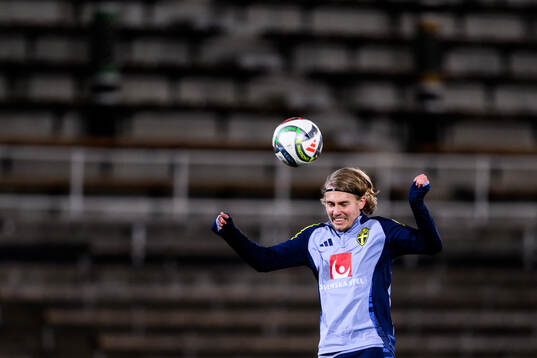 Sebastian Nanasi of the Swedish men's football national