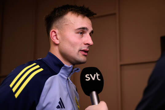 Henrik Castegren of the Swedish men's football national
