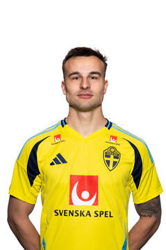 Henrik Castegren of the Swedish men's national football