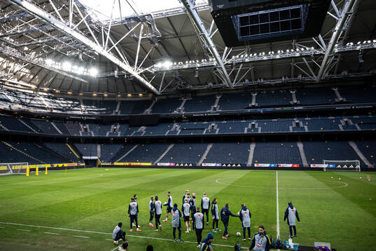 The players of the Swedish men's national football team